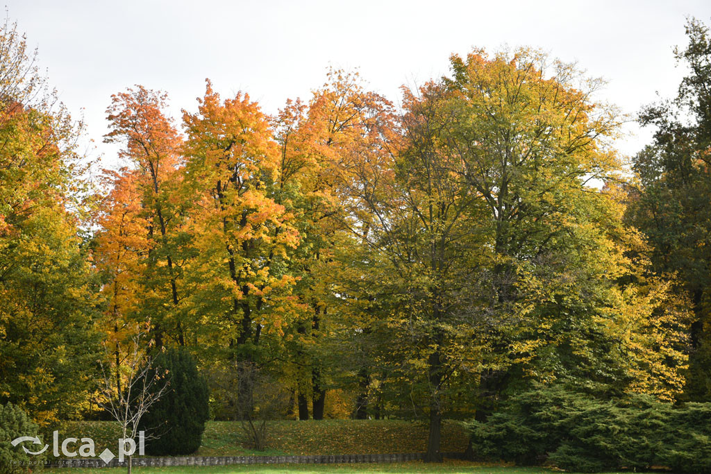 Otulony barwami jesieni park w całej okazałości