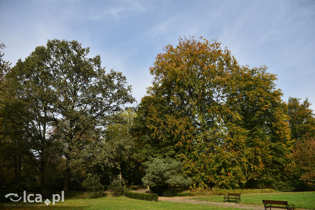 Otulony barwami jesieni park w całej okazałości