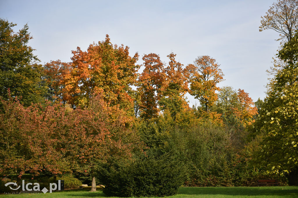 Otulony barwami jesieni park w całej okazałości