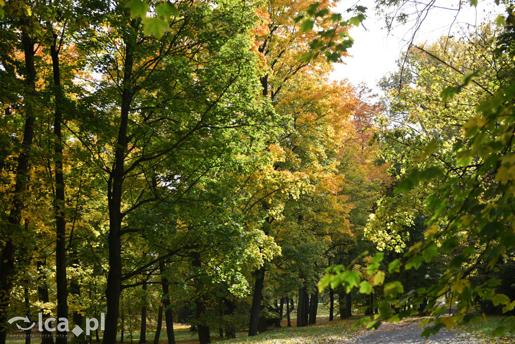 Otulony barwami jesieni park w całej okazałości