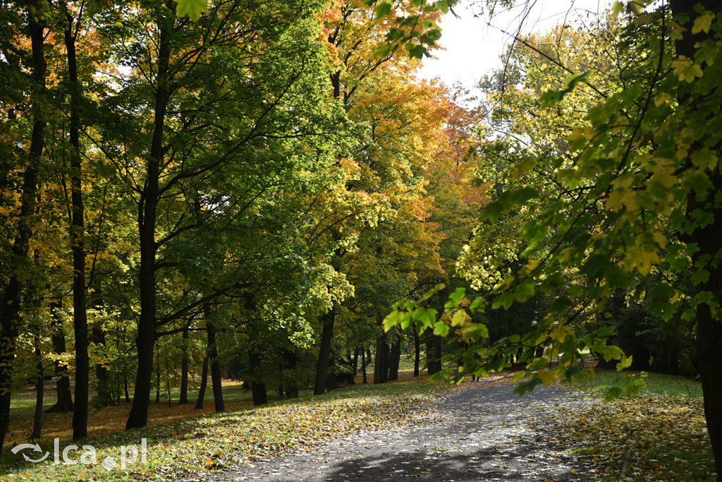 Otulony barwami jesieni park w całej okazałości