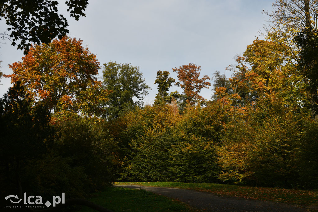 Otulony barwami jesieni park w całej okazałości