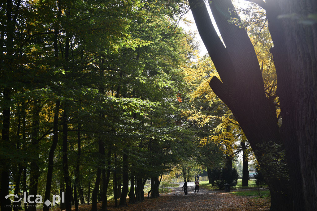 Otulony barwami jesieni park w całej okazałości