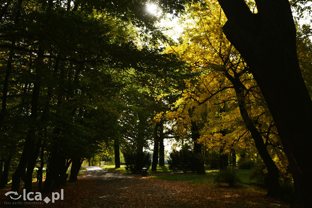 Otulony barwami jesieni park w całej okazałości