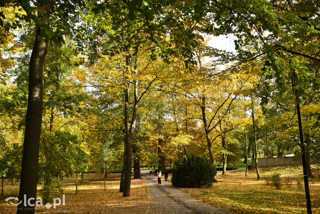 Otulony barwami jesieni park w całej okazałości