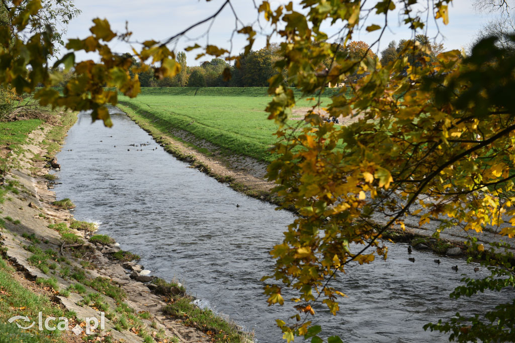 Otulony barwami jesieni park w całej okazałości