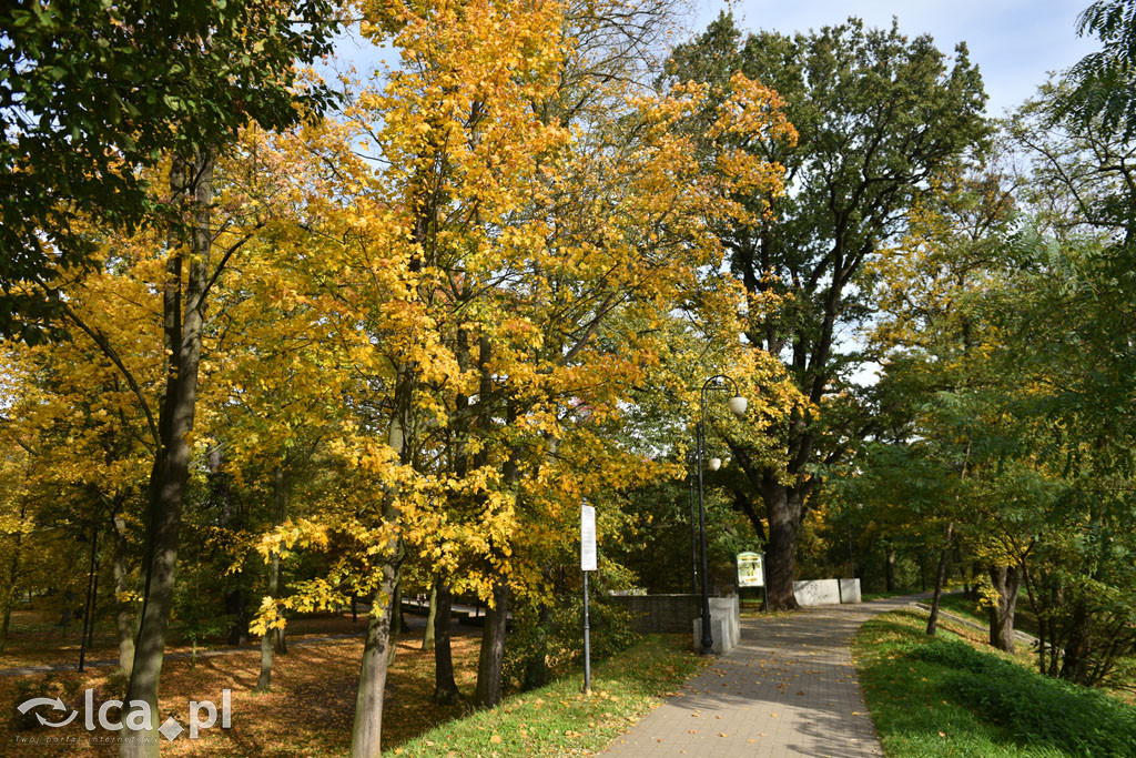 Otulony barwami jesieni park w całej okazałości