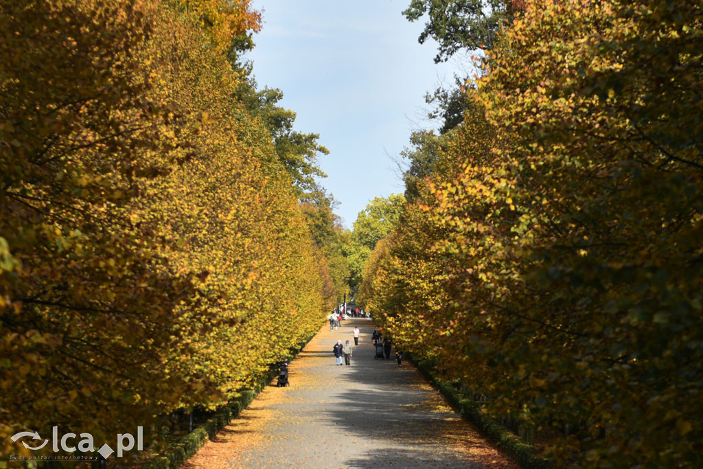 Otulony barwami jesieni park w całej okazałości