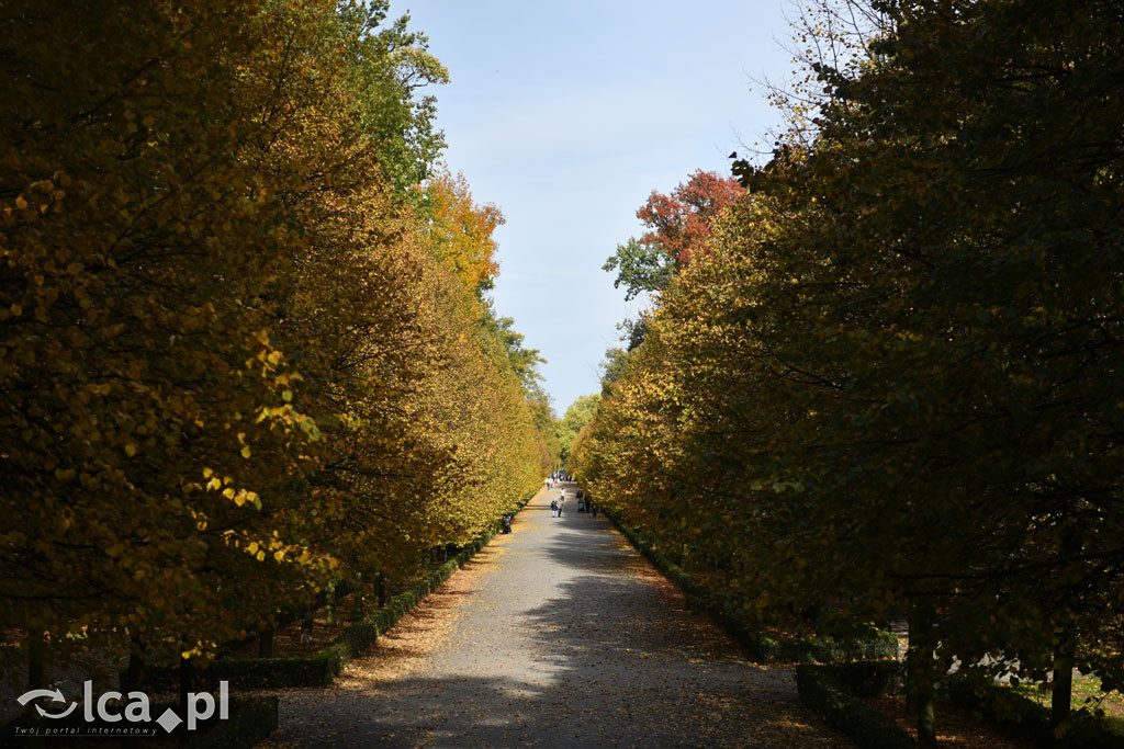 Otulony barwami jesieni park w całej okazałości