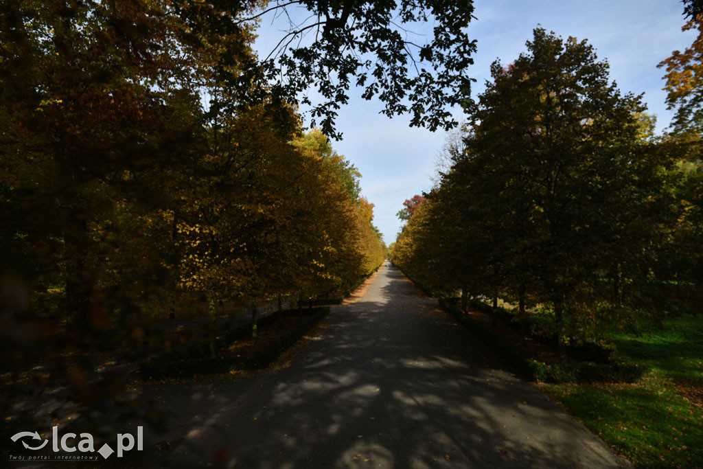 Otulony barwami jesieni park w całej okazałości