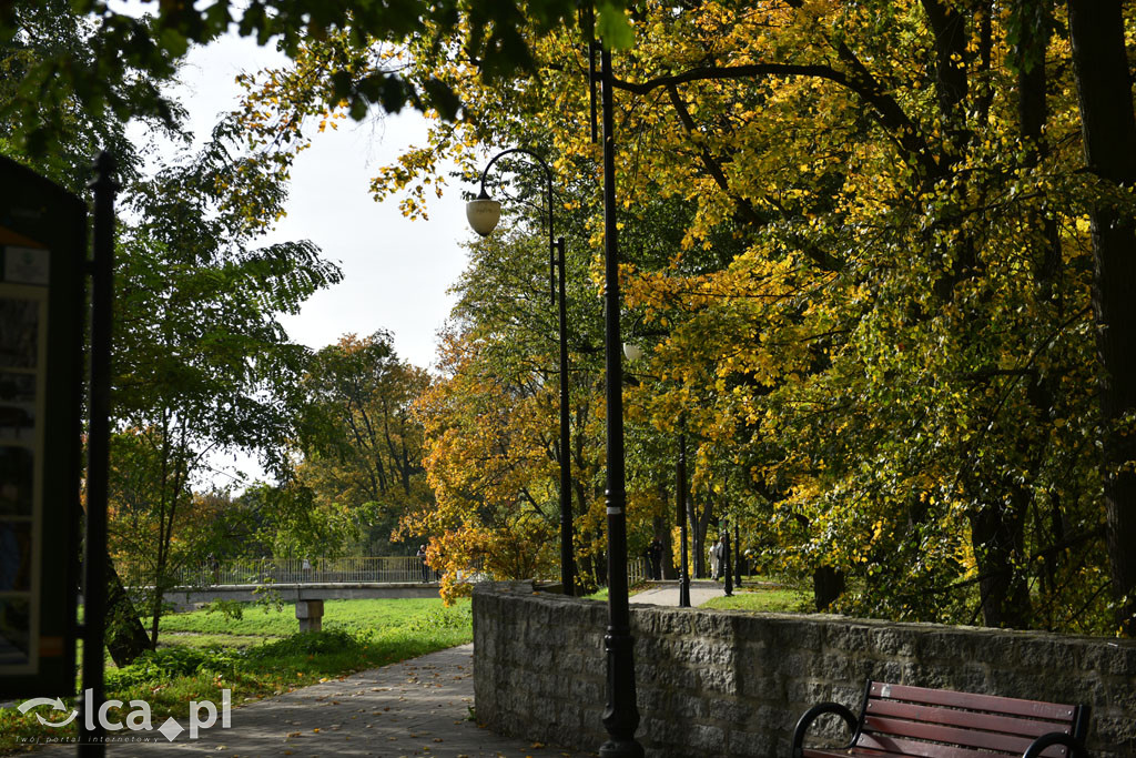 Otulony barwami jesieni park w całej okazałości