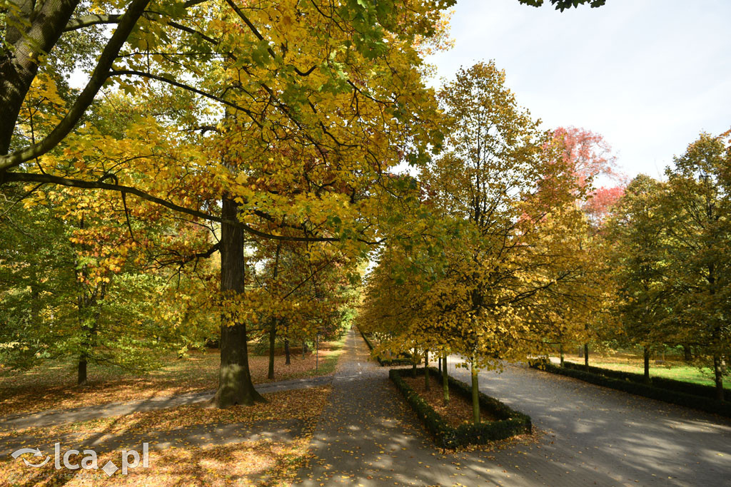 Otulony barwami jesieni park w całej okazałości