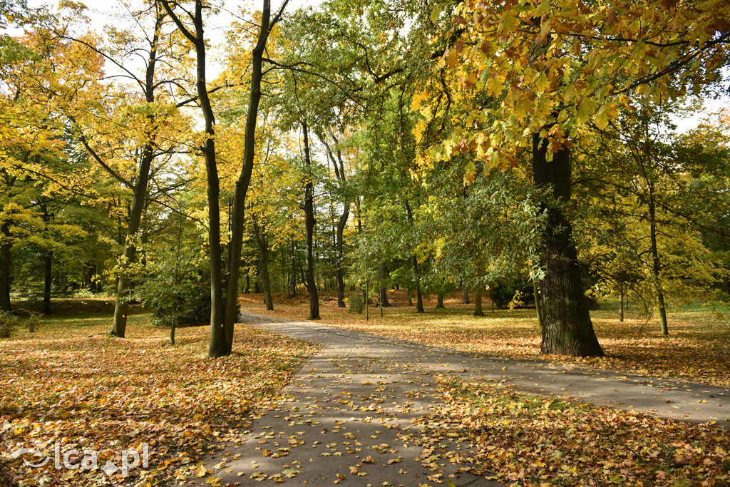 Otulony barwami jesieni park w całej okazałości