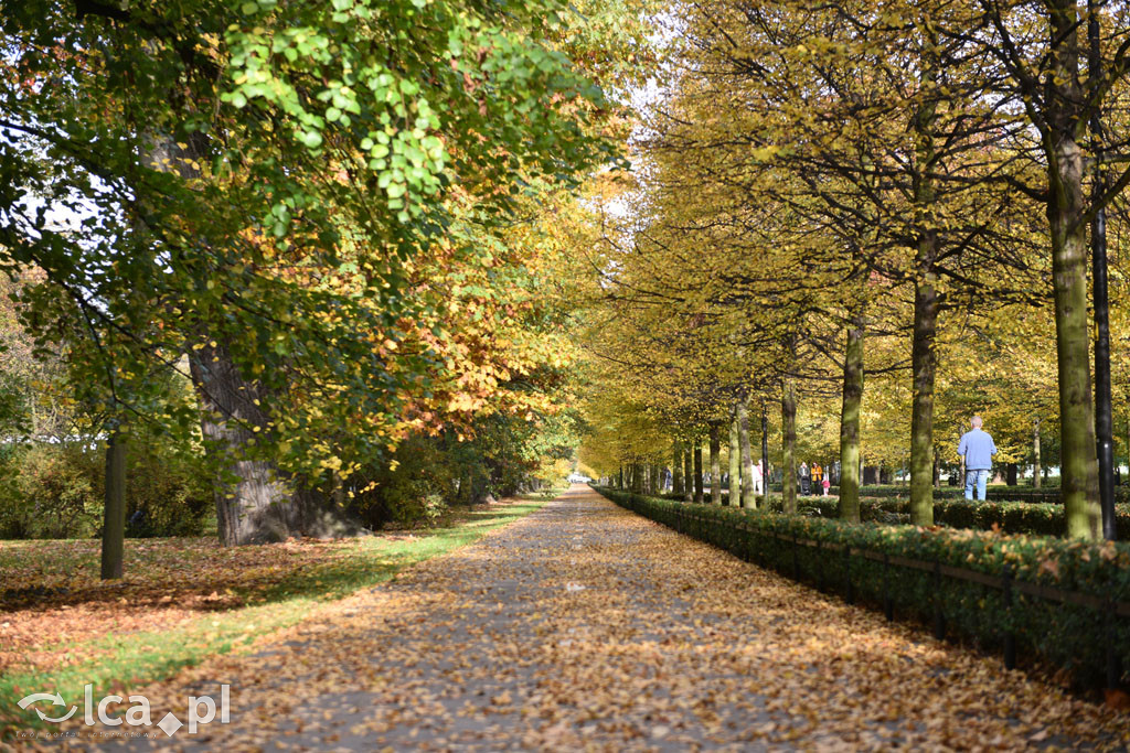 Otulony barwami jesieni park w całej okazałości