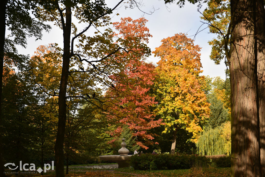 Otulony barwami jesieni park w całej okazałości