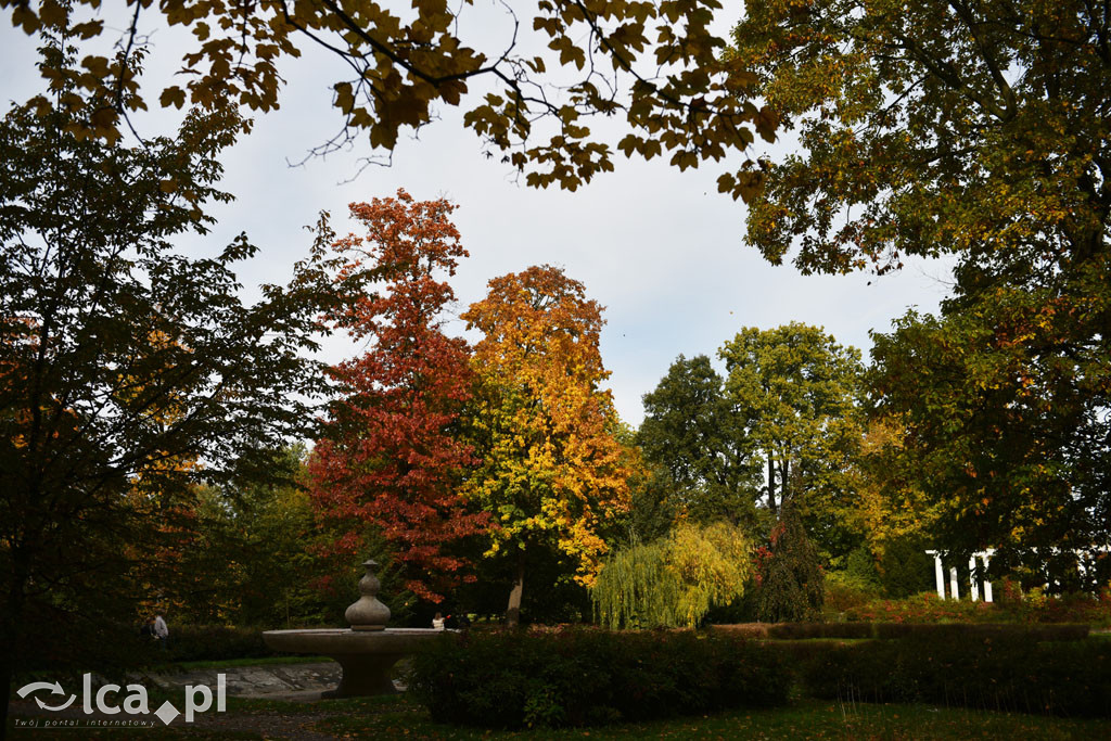 Otulony barwami jesieni park w całej okazałości