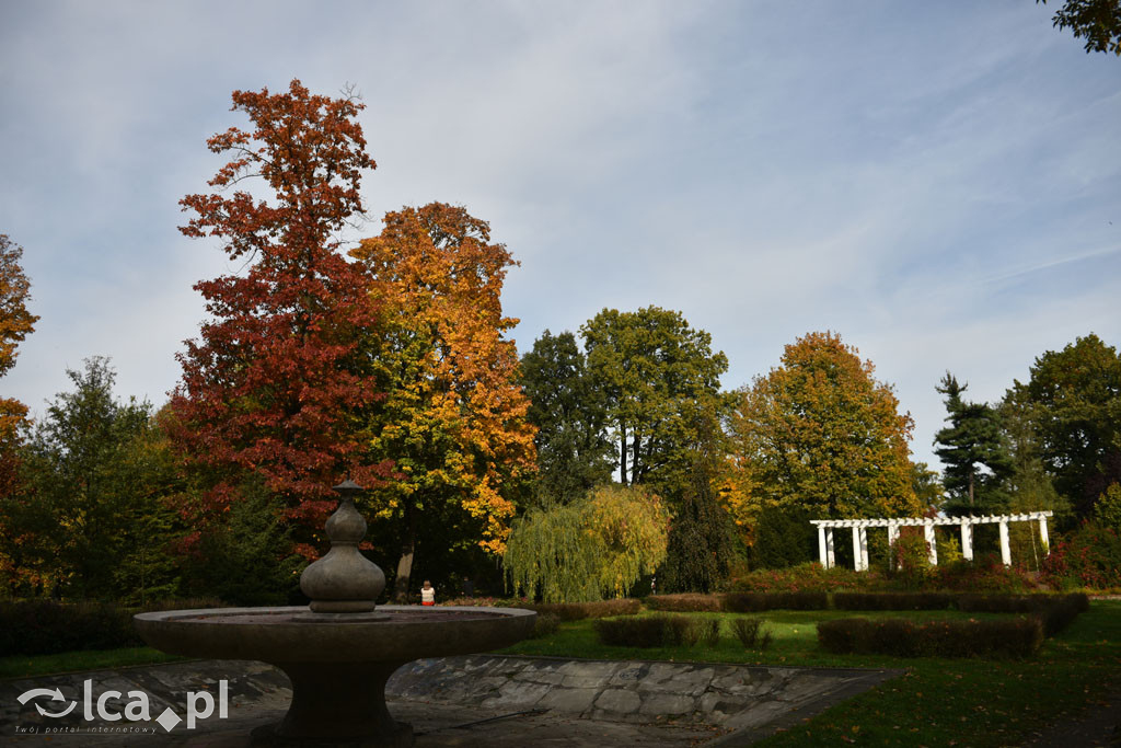 Otulony barwami jesieni park w całej okazałości