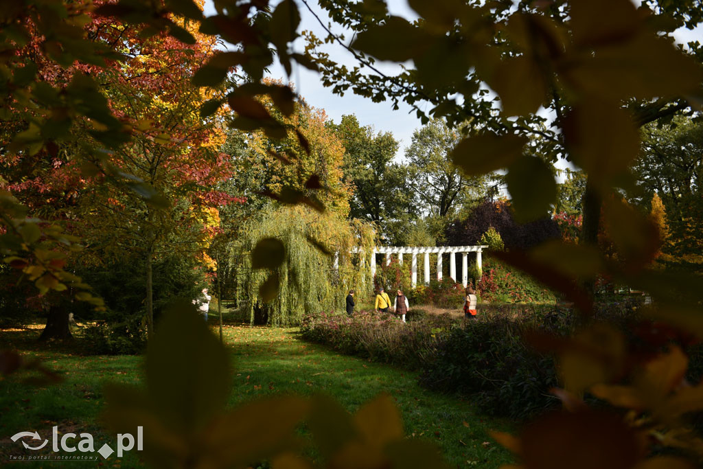 Otulony barwami jesieni park w całej okazałości