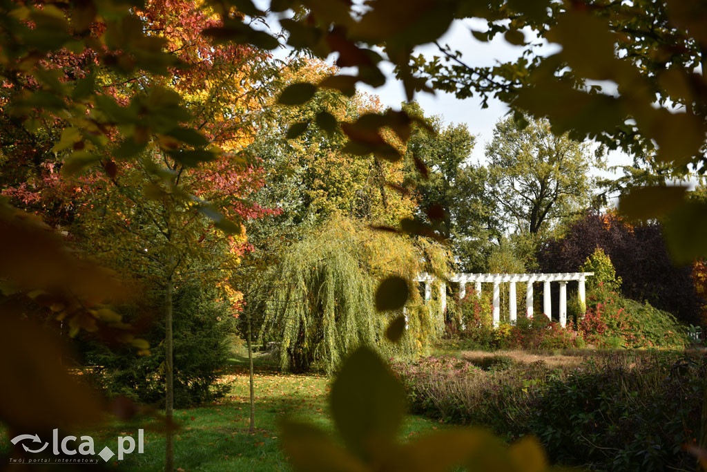 Otulony barwami jesieni park w całej okazałości