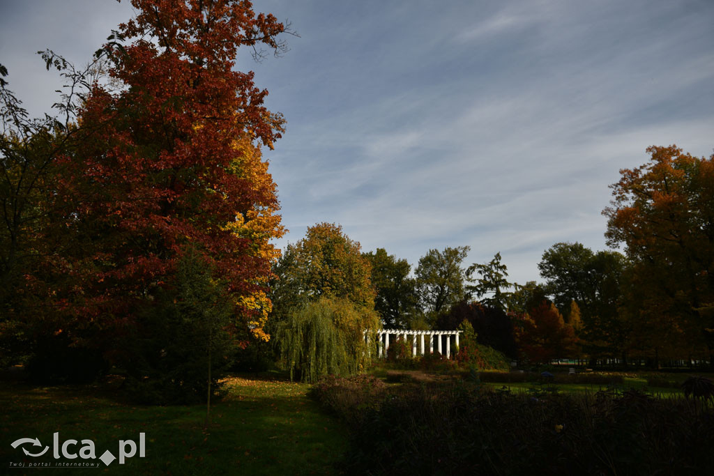 Otulony barwami jesieni park w całej okazałości