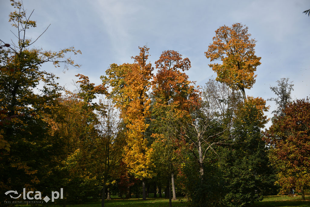 Otulony barwami jesieni park w całej okazałości