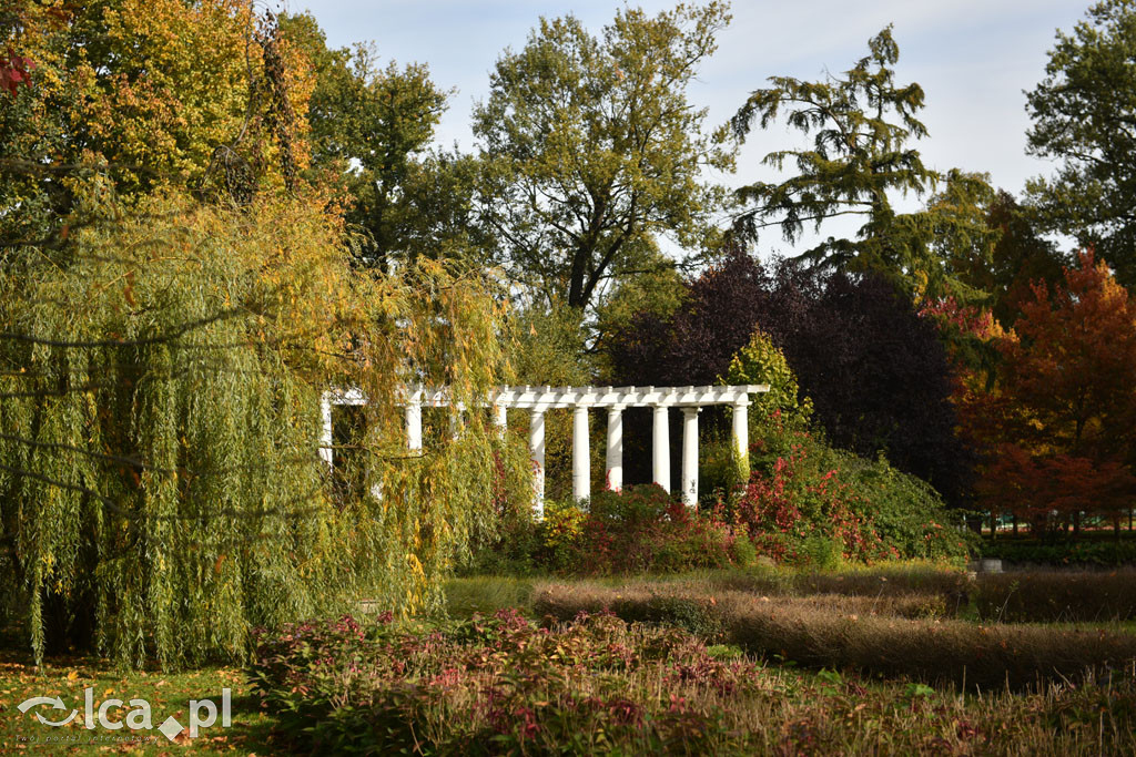 Otulony barwami jesieni park w całej okazałości