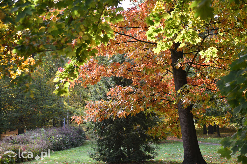 Otulony barwami jesieni park w całej okazałości