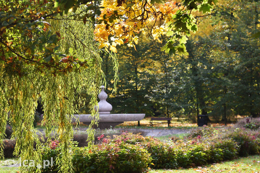 Otulony barwami jesieni park w całej okazałości