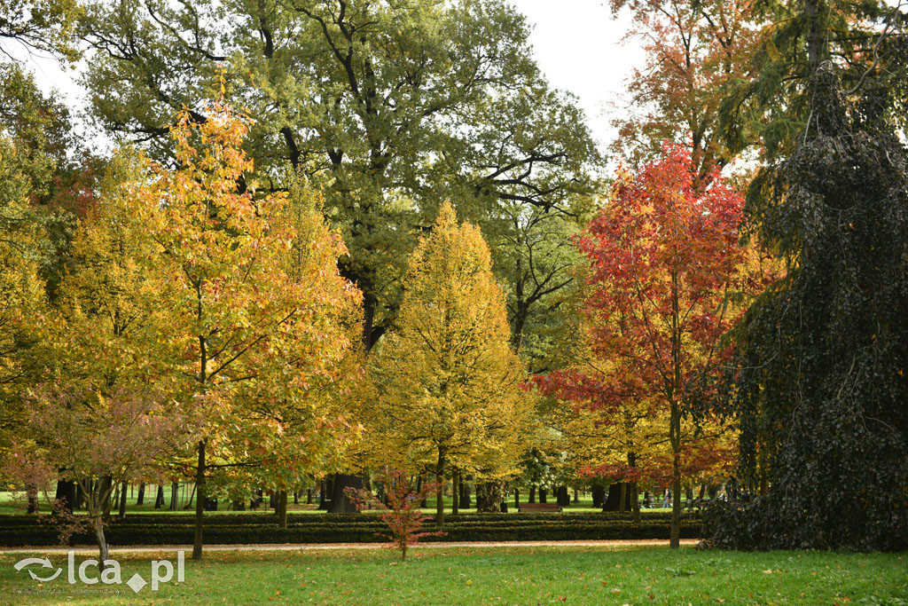 Otulony barwami jesieni park w całej okazałości