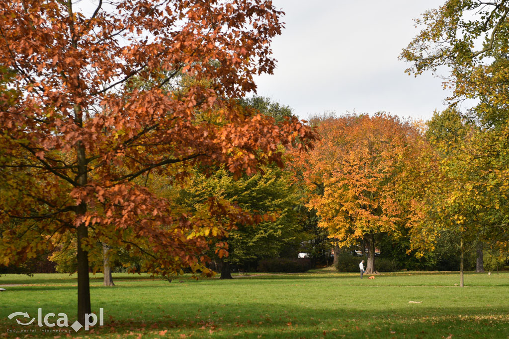 Otulony barwami jesieni park w całej okazałości