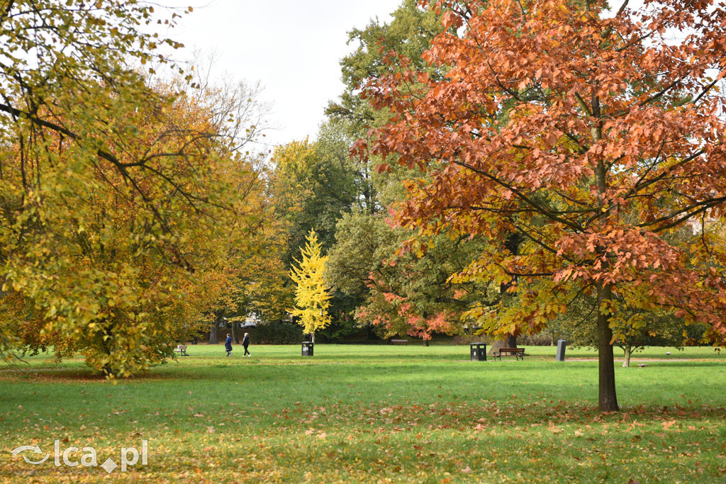 Otulony barwami jesieni park w całej okazałości