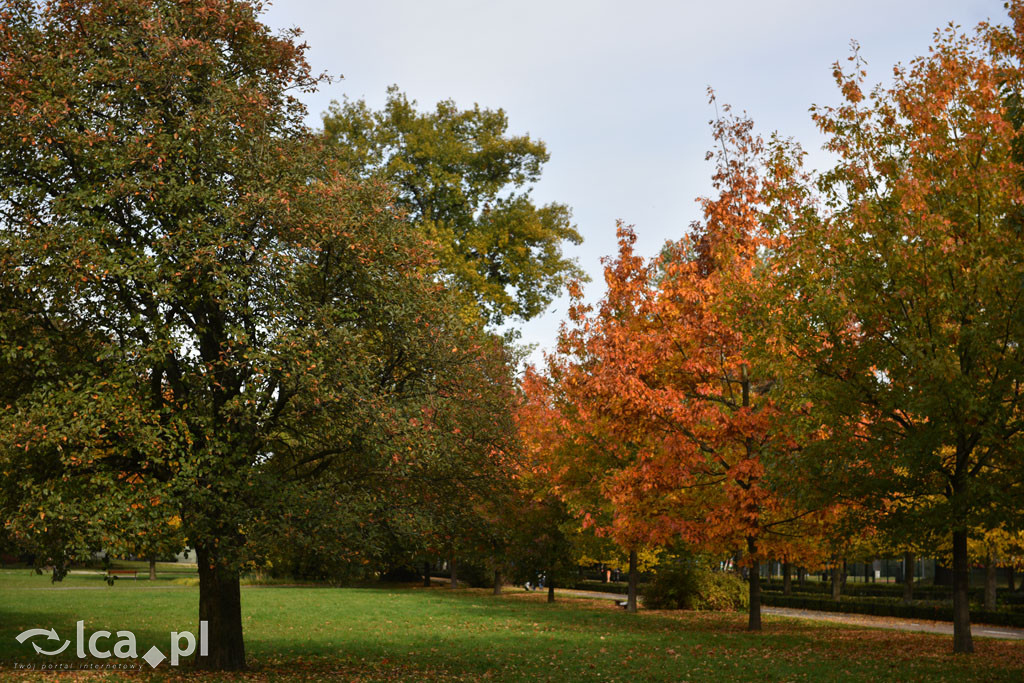 Otulony barwami jesieni park w całej okazałości