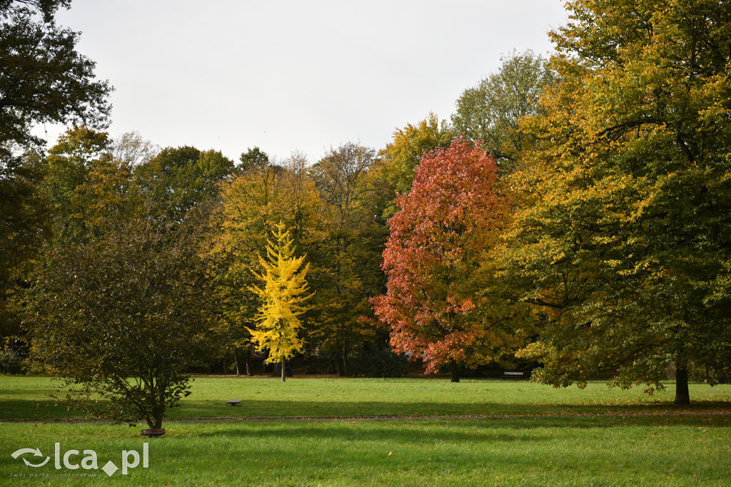 Otulony barwami jesieni park w całej okazałości