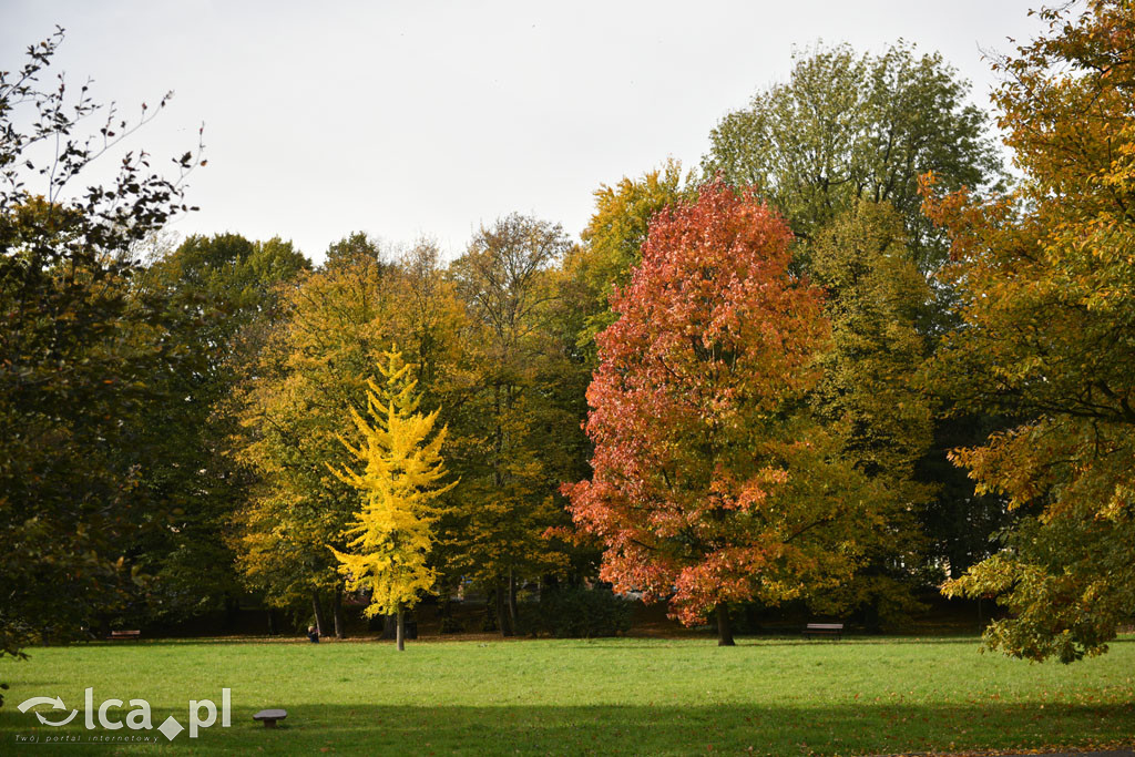 Otulony barwami jesieni park w całej okazałości