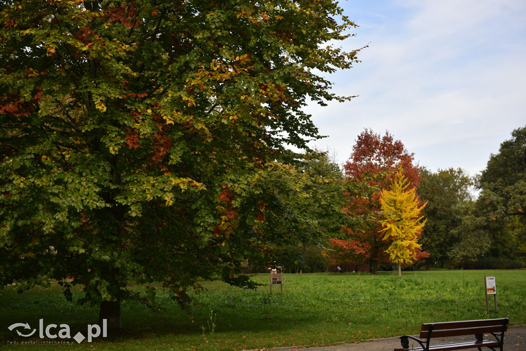 Otulony barwami jesieni park w całej okazałości