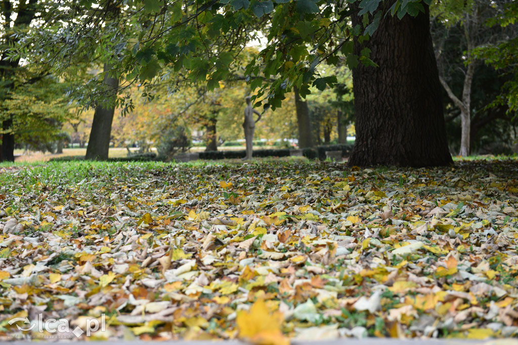 Otulony barwami jesieni park w całej okazałości