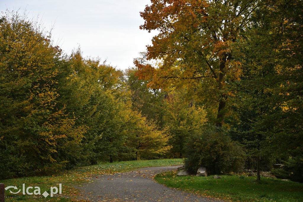 Otulony barwami jesieni park w całej okazałości