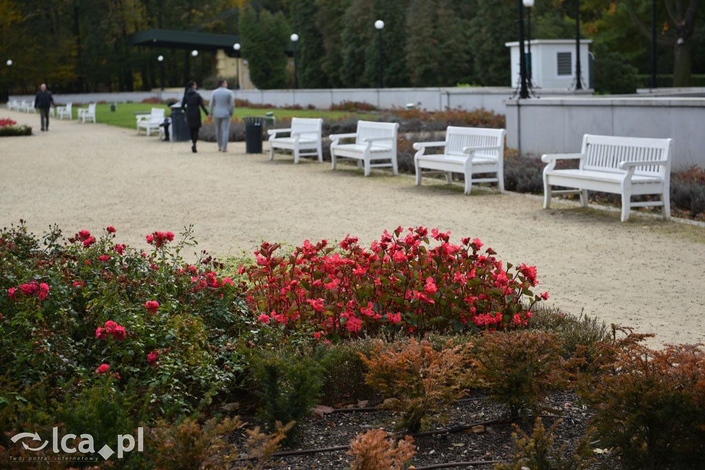 Otulony barwami jesieni park w całej okazałości