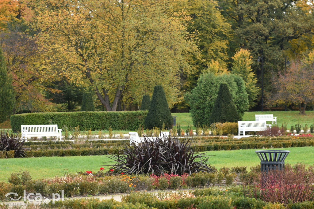 Otulony barwami jesieni park w całej okazałości