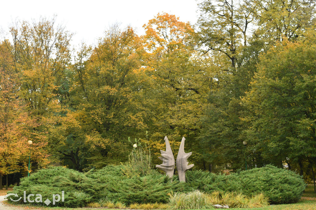 Otulony barwami jesieni park w całej okazałości