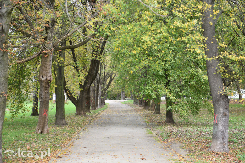 Otulony barwami jesieni park w całej okazałości