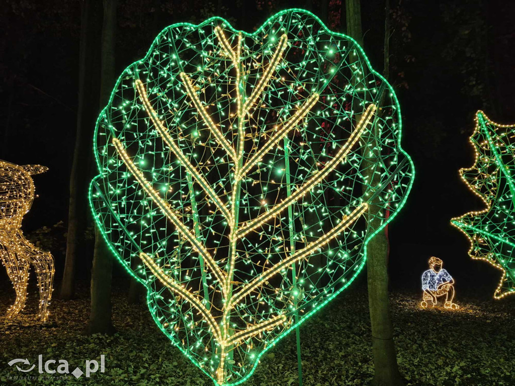Lumina Park, czyli witajcie w naszej bajce