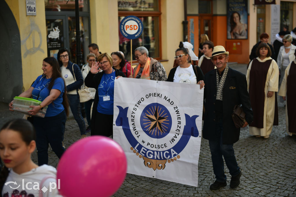 Trzeci sektor w Legnicy świętuje już po raz czternasty