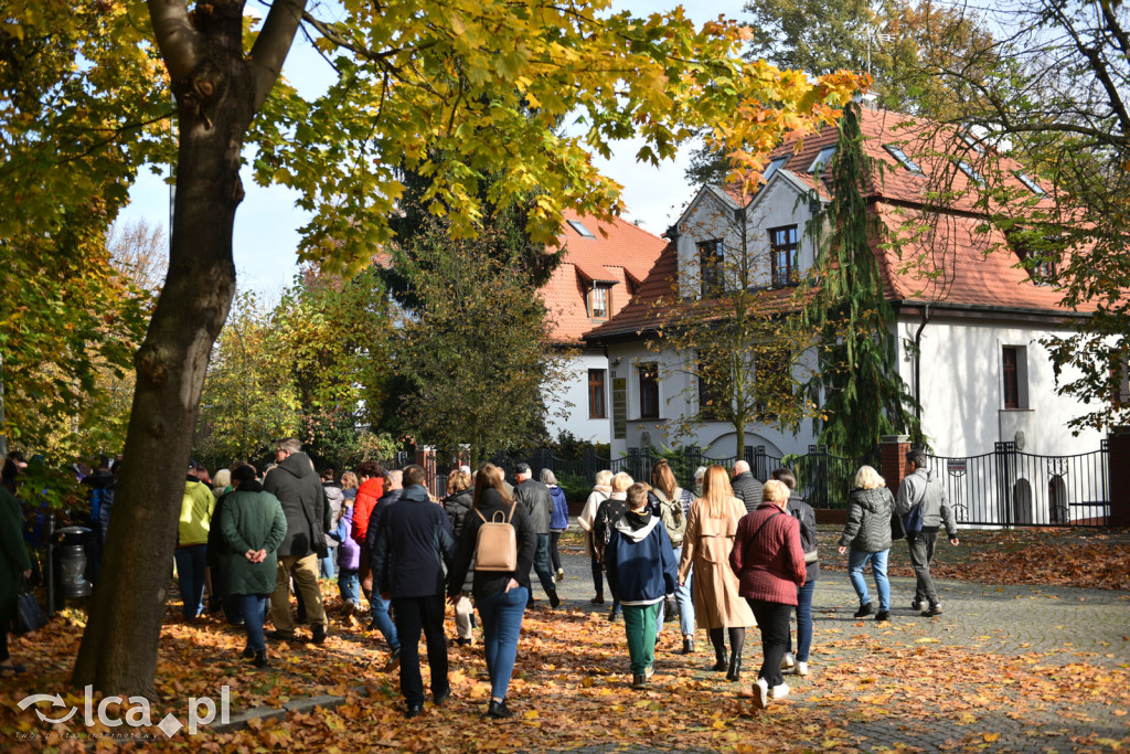 Niedzielny, jesienny spacer po Tarninowie