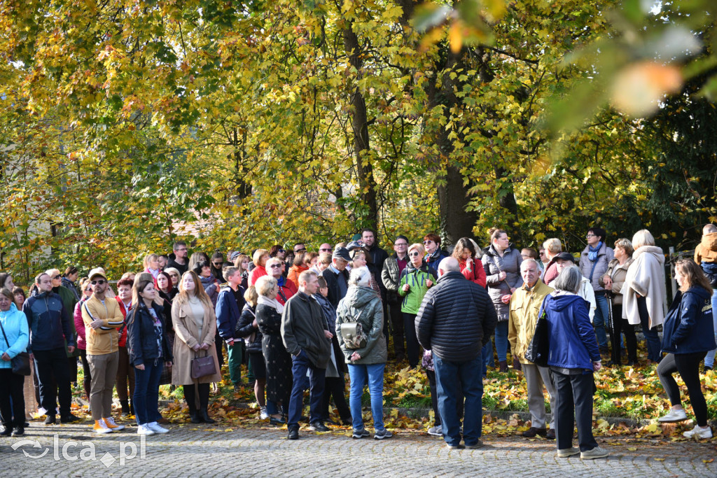 Niedzielny, jesienny spacer po Tarninowie