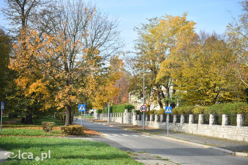 Niedzielny, jesienny spacer po Tarninowie