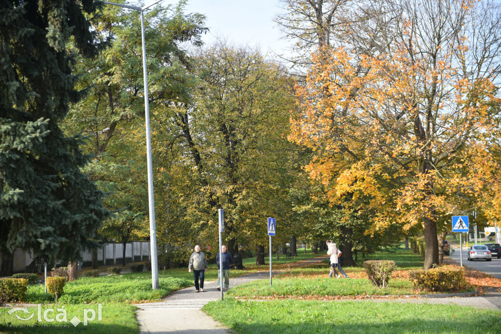 Niedzielny, jesienny spacer po Tarninowie