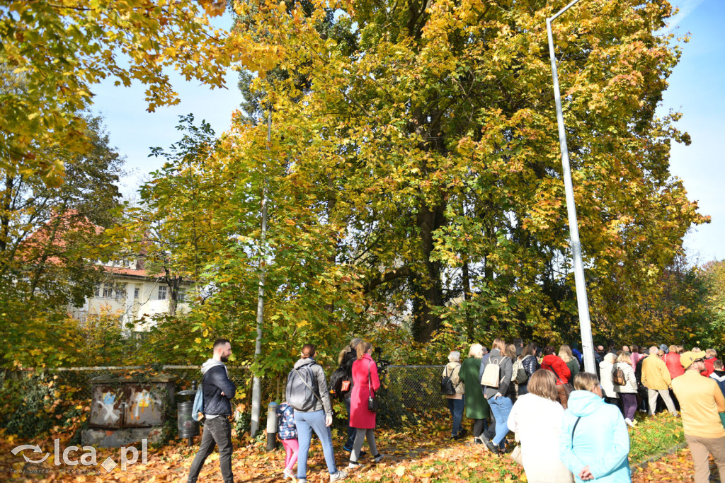 Niedzielny, jesienny spacer po Tarninowie