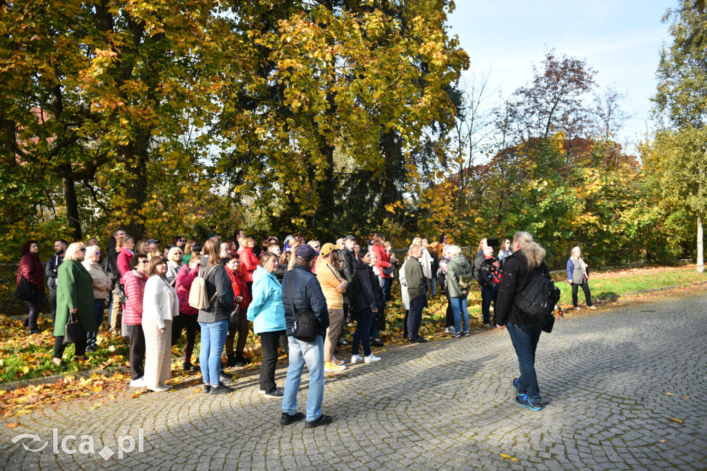 Niedzielny, jesienny spacer po Tarninowie