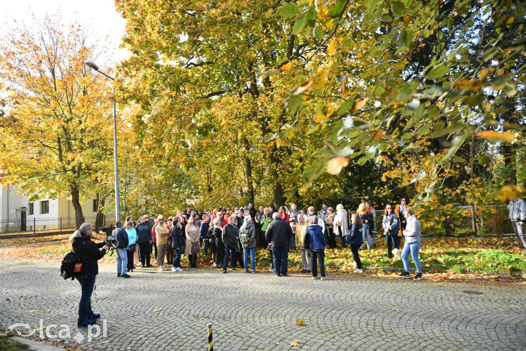 Niedzielny, jesienny spacer po Tarninowie